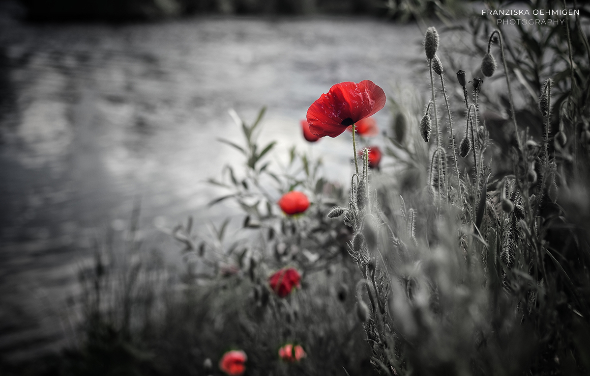 landscape_2