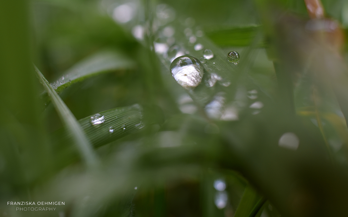 Macro